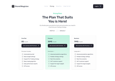 Brand Magician Pricing branding design figma framer landingpage payment pricing ui ux vector web web3 webdesign