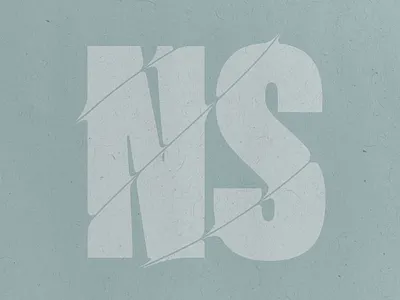 NS abberation art branding design distortion graphic design illustration initials logo vector