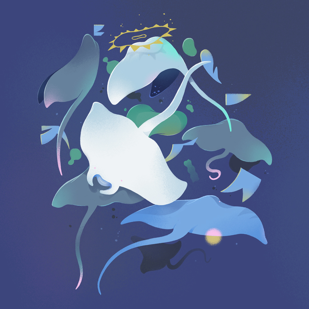 Drifting⚡ abstract animal dancing drawing dynamic illustration manta movement nature ocean ray sea water