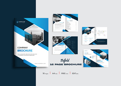 Company Profile Design Layout profile template