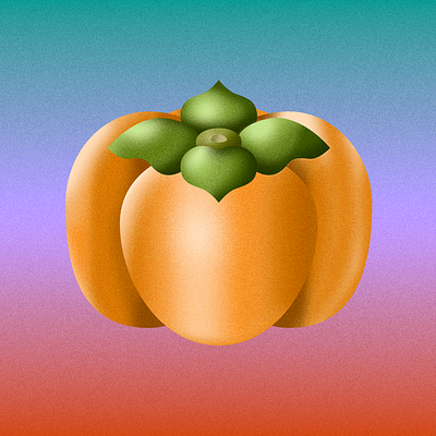 persimmon color fruit gradient grainy illustration persimmon