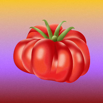 tomato fruit gradient grainy heirloom illustration noisy tomato