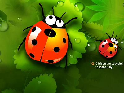 Ladybird - Tropical Rainforest animation branding motion graphics ui