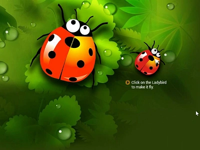 Ladybird - Tropical Rainforest animation branding motion graphics ui