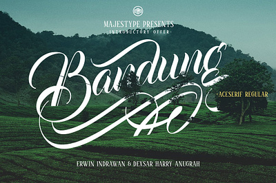 Bandung + Aceserif - Script & Serif baseball brush brushed dexsar dexsarharryfonts display elegant font fonts handwriting logo majestype retro script signpainters softball tattoo tshirt vintage wedding