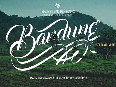 Bandung + Aceserif - Script & Serif baseball brush brushed dexsar dexsarharryfonts display elegant font fonts handwriting logo majestype retro script signpainters softball tattoo tshirt vintage wedding