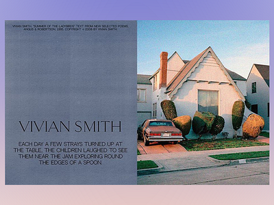 Artwork: A Tribute to Vivian Smith aesthetic artistic classic conceptual art design landscape literature minimal modern classic nostalgia perspective photography poetry realism retro serene storytelling suburban typography vintage