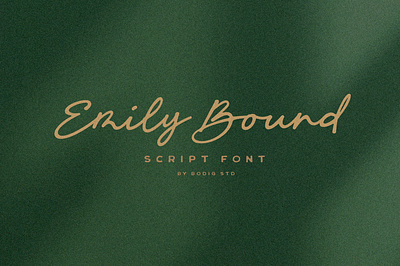 Emily Bound Font elegant font handlettering handwritten script scriptfont typeface typography