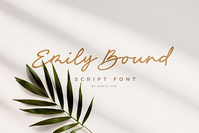 Emily Bound Font elegant font handlettering handwritten script scriptfont typeface typography