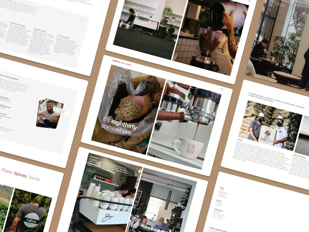 Example of Shopify Homepage Or Landing Page Design