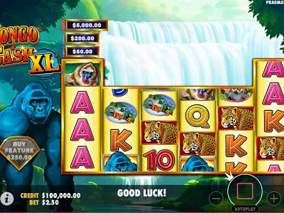 Congo Cash XL Slot