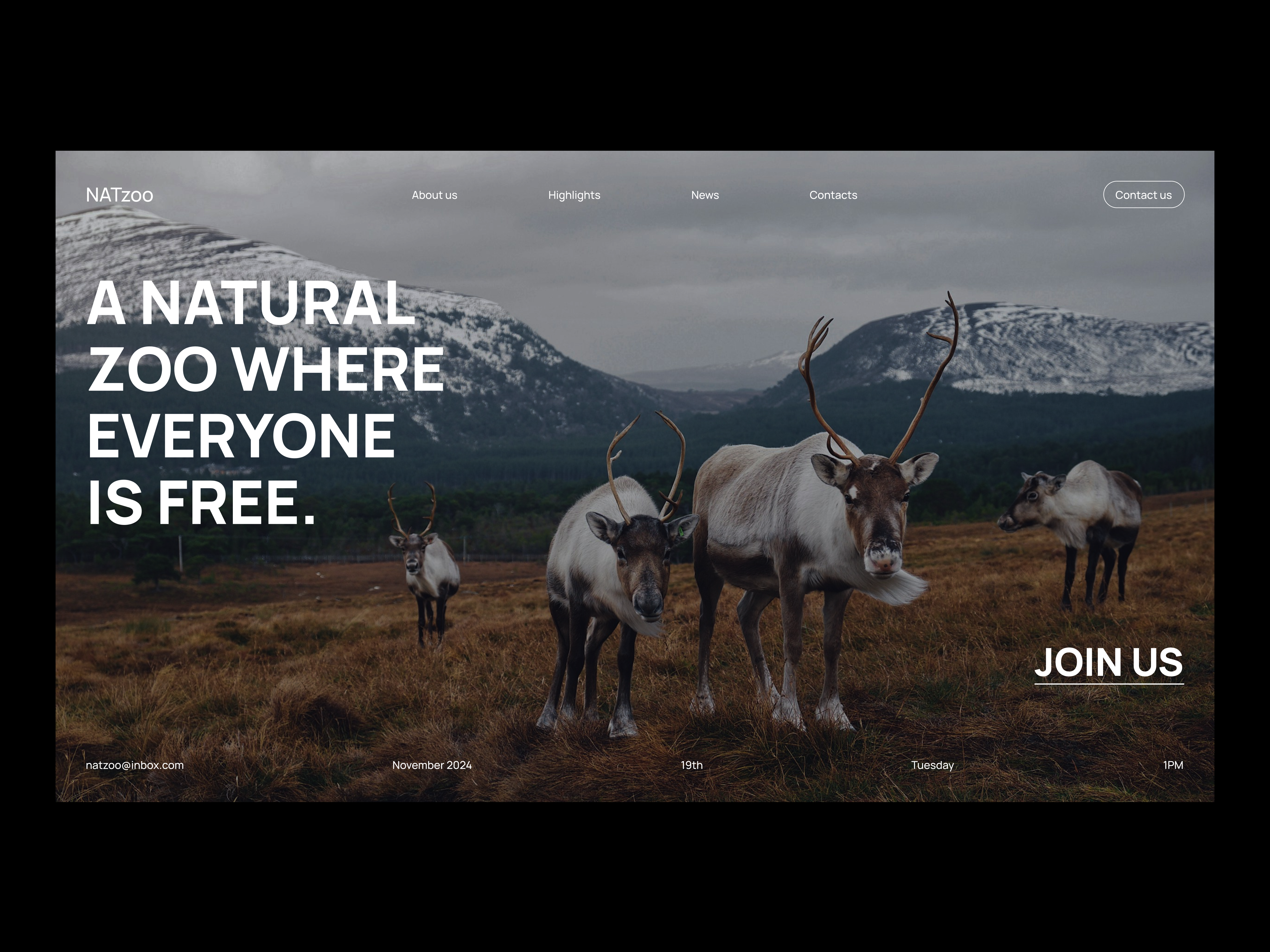 Natural zoo website ai design landing page minimal typography ui ux uxresearch web design website zoo