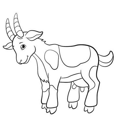 Goat Coloring Pages 3d animation branding coloring design graphic design illustration mime motion graphics ui