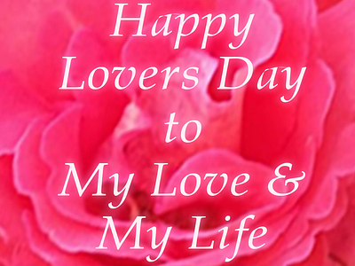 Happy Lovers Day for Valentine Couples happyloversday happyvalentinesdaybaby happyvalentinesdaylove loversdaywishes valentiensdayiamges valentiensdayquotes valentinesdaywishes