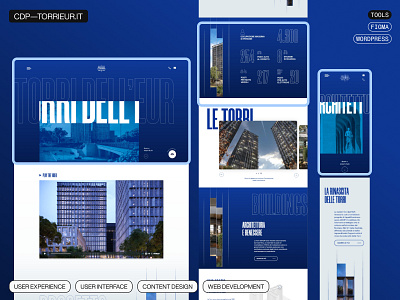 Torri Eur - Web Design & Development animation branding design ui ux web design