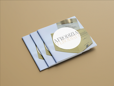 Afrodizia branding design graphic design layout