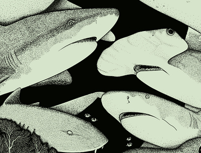 We Love Shark Week 2024 (2/4) coral fish hammerhead illustration lemon life marine marine life nurse ocean reef sea seaweed shark week sharks stippling underwater week