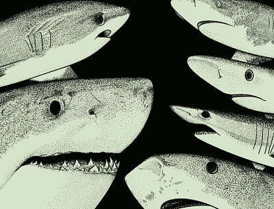 We Love Shark Week, 2024 (3/4) blue coral fish great great white illustration life mako marine life ocean reef sea seaweed shark week stippling thresher tiger underwater week white