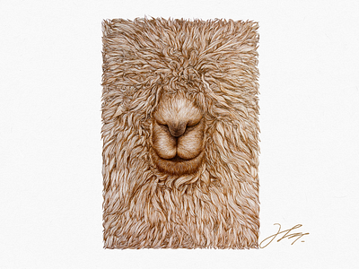 alpaca alpaca animal painting animal portrait animal tattoo art drawing art work custom illustration custom painting hand drawn illustration illustration work ink drawing line line art needle pen painting pen and ink pen drawing portrait paintings traditional art