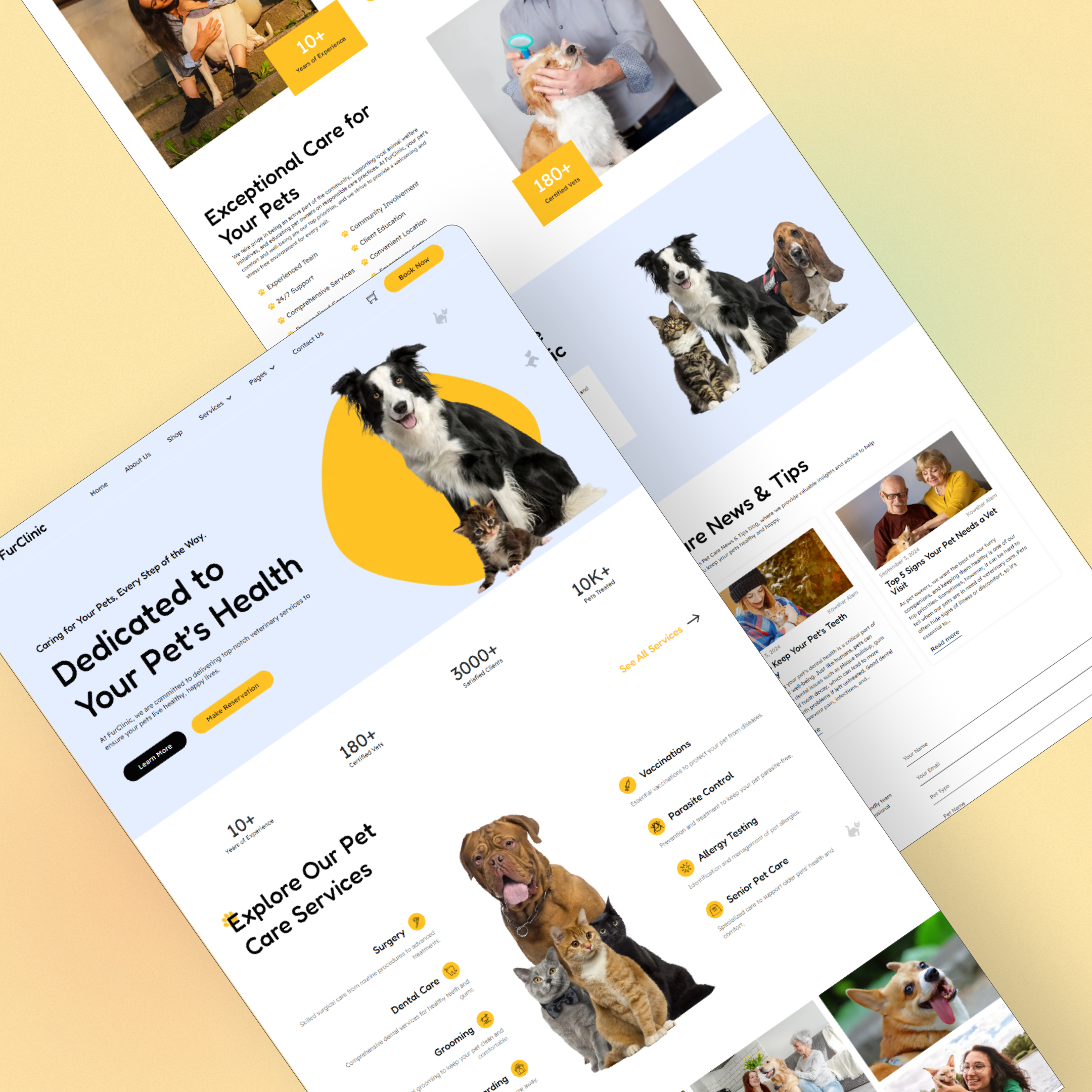 Example of Pet Care Website Design & Development