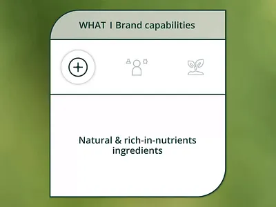 TA Vital™ brand capabilities | by BEAN CREATIVE® bean creative brand strategy branding branding agency design graphic design logo motion graphics practical branding