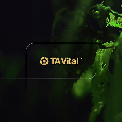 TA Vital™ logo motion | by BEAN CREATIVE® bean creative branding branding agency design graphic design illustration logo motion graphics practical branding