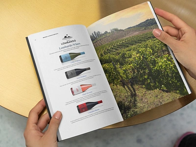 Wine Catalog Design branding brochure catalog clean design creative designinspiration dribbblecreations graphic design illustrator indesign print design wine catalog