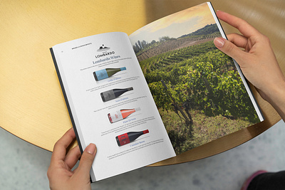 Wine Catalog Design branding brochure catalog clean design creative designinspiration dribbblecreations graphic design illustrator indesign print design wine catalog