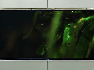 TA Vital™ billboard motion | by BEAN CREATIVE® bean creative billboard branding branding agency design graphic design logo mockup motion graphics practical branding