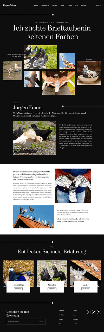 Website design for birds care brand identity logo design uiux design web design website design wodpress theme