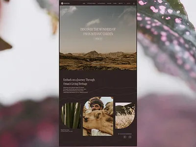 Oman Home branding responsive ui ux