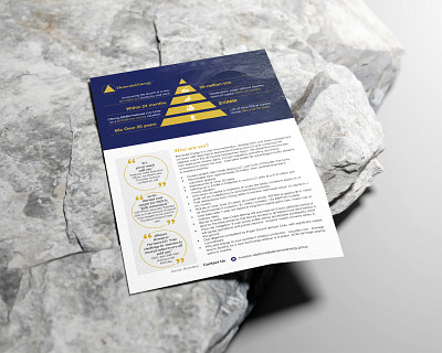 Executive Summary Design branding brochure catalog clean design creative flyer graphic design infographics mining poster