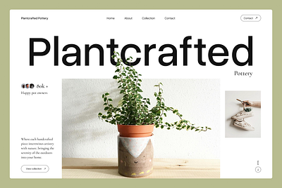 Plant shop hero design graphic design ui webdesign