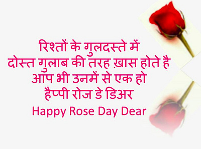 Happy Rose Day Shayari in Hindi for 7th February happyroseday happyroseday2025 happyrosedayshayari roseday2025 rosedayquoteshindi rosedayshayari rosedayshayaribf rosedayshayarigf rosedayshayrihindi