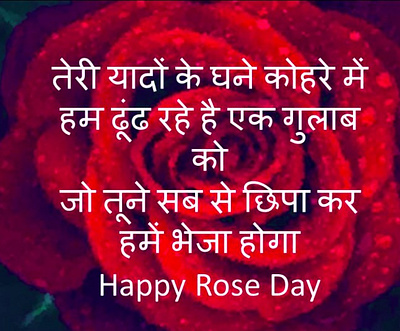 Happy Rose Day Images Hindi for Beloved happyroseday happyrosedayjaan rosedayimages rosedayjaanpics rosedaypics rosedayshayari rosedaywishes