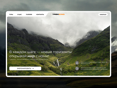 Landing page | TREKKING figma landing landing design landing page ui ui design uxui uxui design website