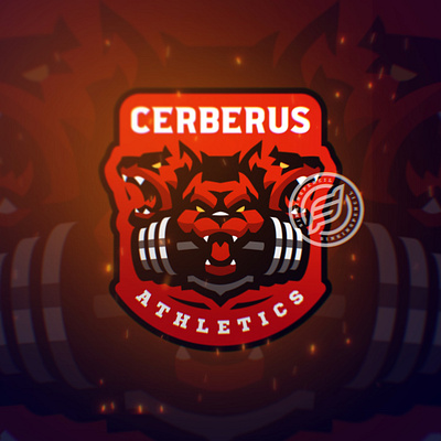 CERBERUS ATHLETICS athletics bodybuilding branding bullies design dog dogs graphic design gym gymfreak gymrat logo sport sportlogo sports sportsteam sportteam trainings vector