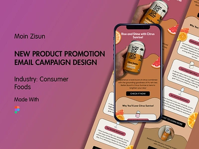 Product Promotion Email Campaign Design branding email email campaign design email design email marketing figma figma email design graphic design klaviyo klaviyo email design