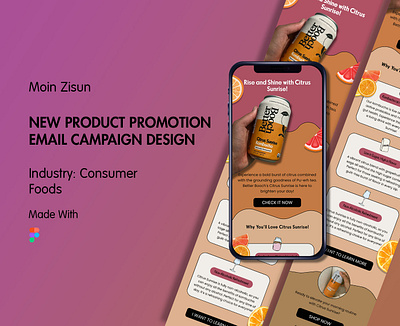 Product Promotion Email Campaign Design branding email email campaign design email design email marketing figma figma email design graphic design klaviyo klaviyo email design