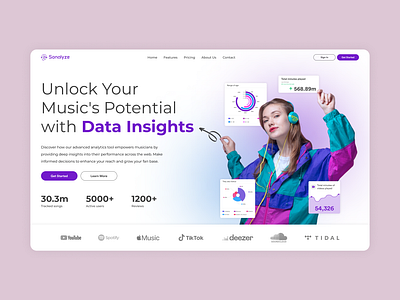 Music Data Insights design landing page music saas ui design ux design web design webdesign