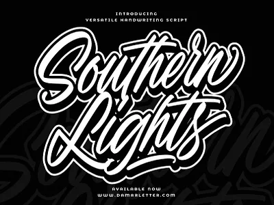 Southern Lights branding design font identity illustration lettering logo type typography ui
