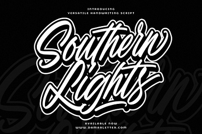 Southern Lights branding design font identity illustration lettering logo type typography ui