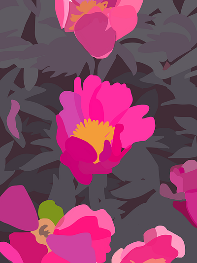 Peonies digital art drawing flowers peonies