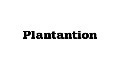 Plantantion Logo Animation animatedlogo animation animationinspiration boostyourbrand brandanimation creativeanimation logo logoanimation logointro logomotion logoreveal logotransformation minimallogoanimation