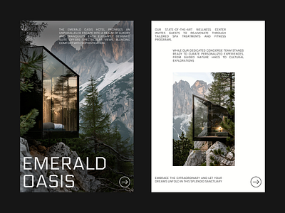 Hotel in the mountains / presentation / website design hotel house interaction mountains presentation site typography ui user interface ux web web design website