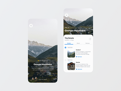 Seamless Travel Planning: Mobile App for Adventurers 🌍📱 app design experience mobile app mobile design product design travel ui ux ux research