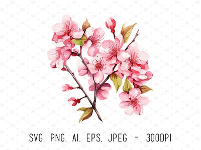 Cherry Blossom Flower Vector Art cherry blossom floral flowers illustration illustrator vector watercolor