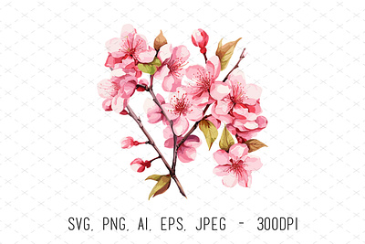 Cherry Blossom Flower Vector Art cherry blossom floral flowers illustration illustrator vector watercolor