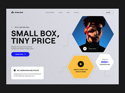 Web Site for Network Security Product — Sting Box cybersecurity design hero network network security product security ui uiux ux web web design website