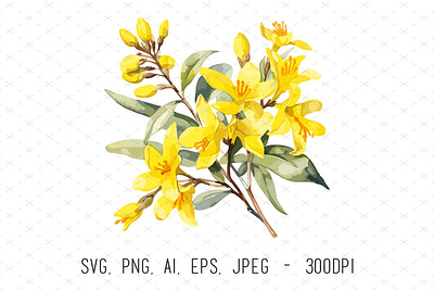 Forsythia Flower Watercolor Vector Illustration floral flower forsythia graphic design illustration painting vector watercolor yellow